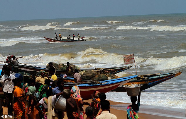 12998360-0-image-a-2_1556791295933 Fishermen have been advised not to venture into deep waters: Some men return to safety on the Bay of Bengal sea's eastern coast beach at Konark after the cyclone Fani alert in Puri district of Orissa has been issued