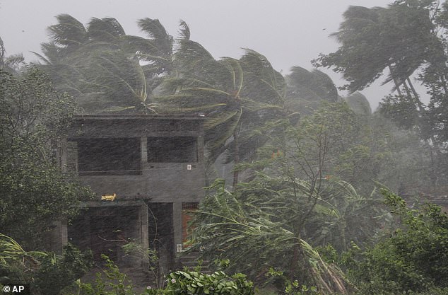 13038564-6988125-image-a-1_1556868237933 Ferocious: Trees bend in the huge winds of Cyclone Fani as rain batters an abandoned home on the outskirts of Puri, after the storm made landfall on India's east coast this morning