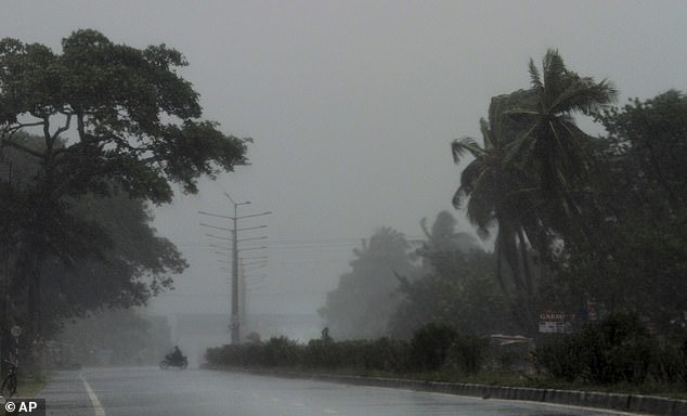 13038570-6988125-image-a-2_1556868248231 Desolate: A motorcyclist braves gusty winds just before the landfall of cyclone Fani, which could reach 125mph winds, on the outskirts of Puri