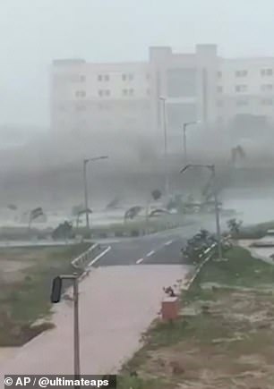 13040214-6988125-image-a-27_1556869891172 Damage: Trees are seen bending alarmingly as wind and rain batters the east coast of India