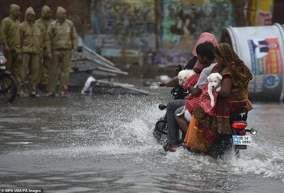 13077954-6991719-image-a-33_1556954693543 A family carry their pets to safety on a moped after the onset of cyclone Fani on May 3, 2019 in Puri, India