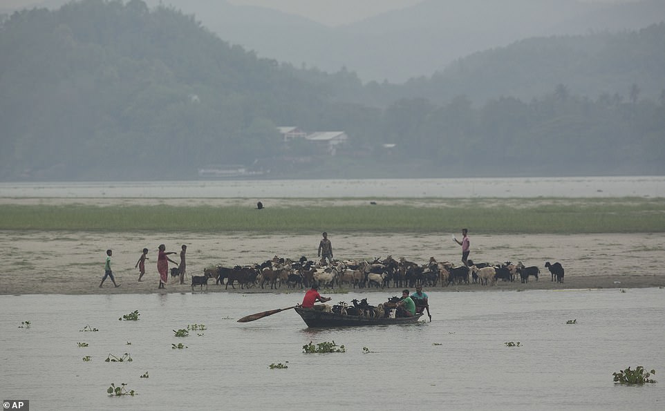 13078076-6991719-image-a-73_1556954936429 The cattle convenes at the other side of the flooded river Brahmaputra in Gauhati, India, Friday, May 3