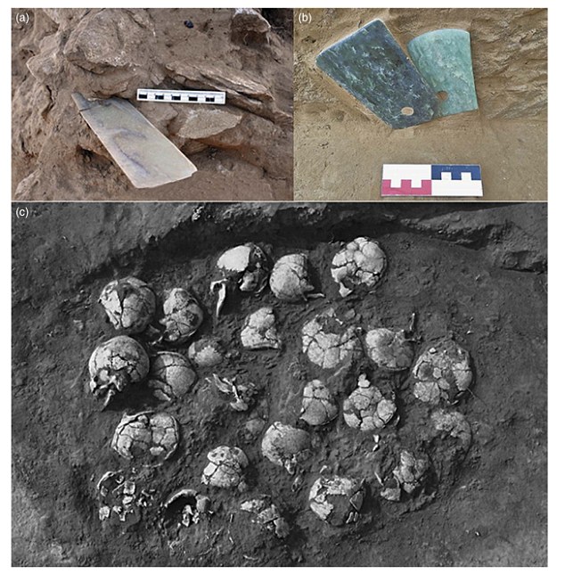 4F5E86F700000578-0-image-a-13_1535150004669 4F5E86F700000578-0-image-a-13_1535150004669