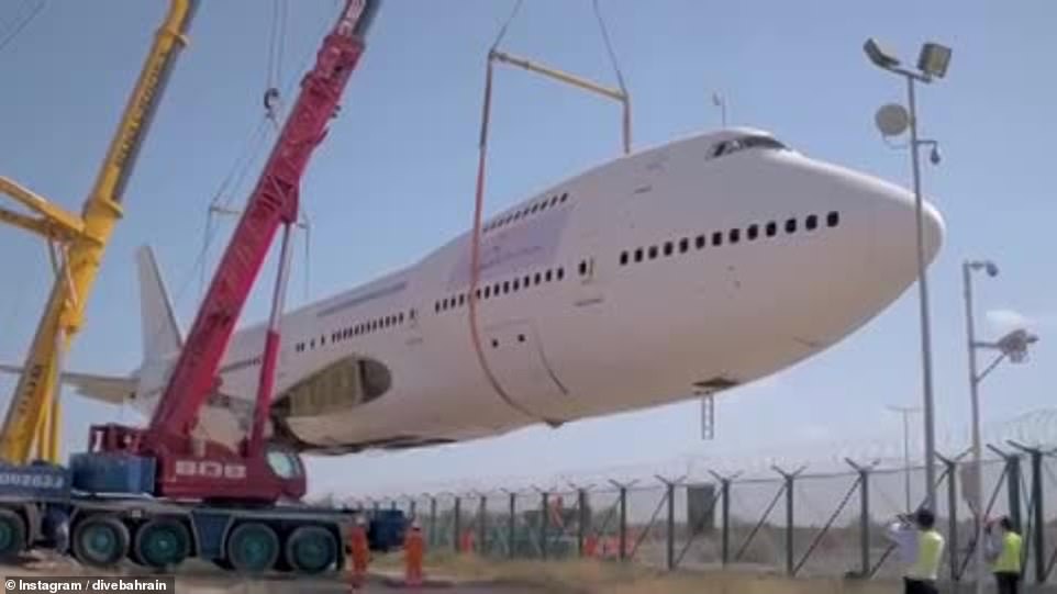 14743182-7157839-the_plane_was_specially_prepared_prior_to_its_descent_to_the_bot-a-18_1560945625458 The plane was specially prepared prior to its descent to the bottom of the Persian Gulf to guard against corrosion