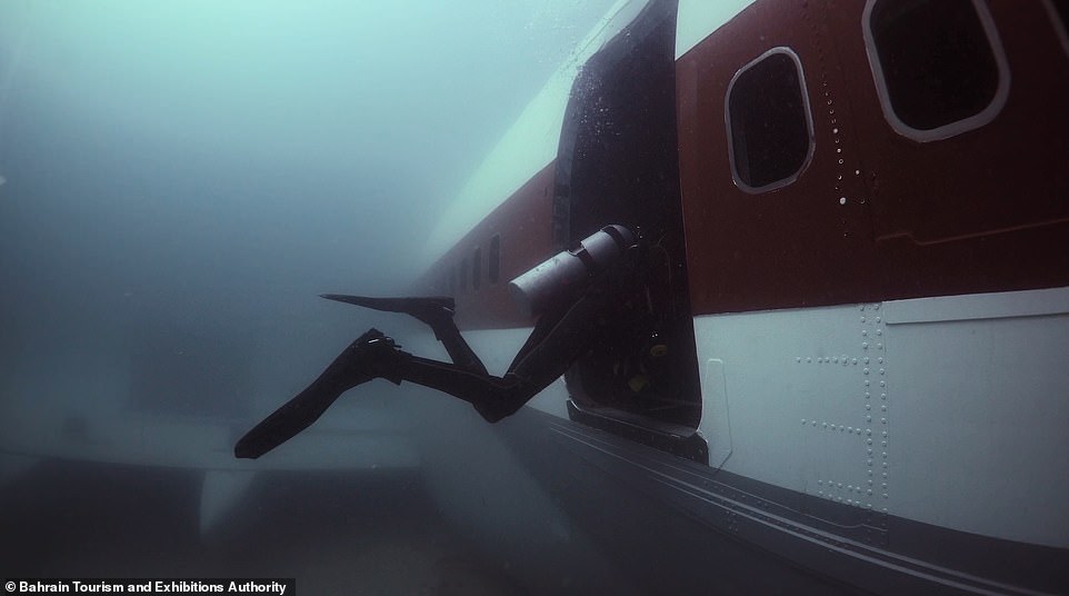 14981162-7157839-video_shows_the_diver_swimming_around_the_aircraft_wreck_before_-a-12_1560945625448 The clip shows the diver swimming around the aircraft wreck before entering the interior