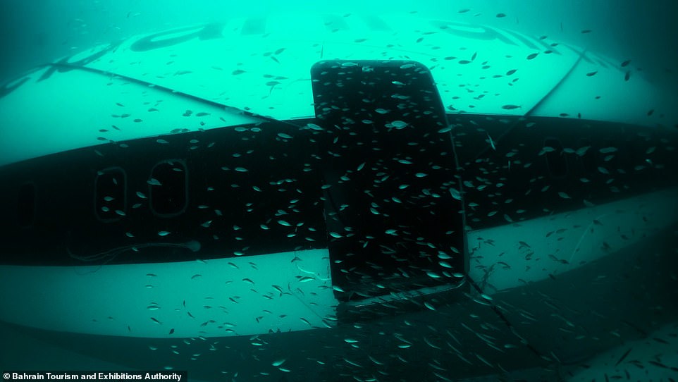 14981168-7157839-fish_are_seen_swimming_around_the_aircraft_the_archipelago_s_tou-a-16_1560945625457 Fish are seen swimming around the aircraft. The archipelago's tourism agency says the underwater park will be a safe haven for coral reef growth and habitat for marine life