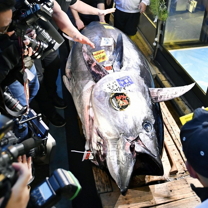 1578215954_4333262_inline