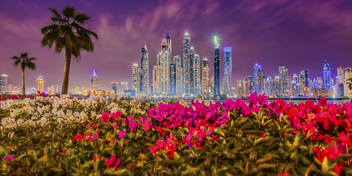 16b16517648e7d0b3477dc0a26365989-1 المجال الصحي في أكسبو 2020 دبي