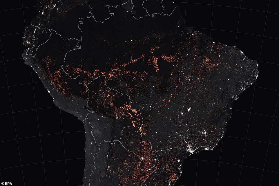 17641808-7390261-image-a-98_1566648088550 A handout photo made available by NASA Earth Observatory of a map showing active fire detection in Brazil as obersved by Terra and Aqua MODIS satellites between 15 and 19 August 2019
