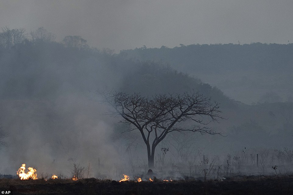 17641816-7390261-nearly_half_of_brazil_is_covered_in_smoke_as_the_fires_spread_fr-a-92_1566647549741 Nearly half of Brazil is covered in smoke as the fires spread from the country's east to the Atlantic coast