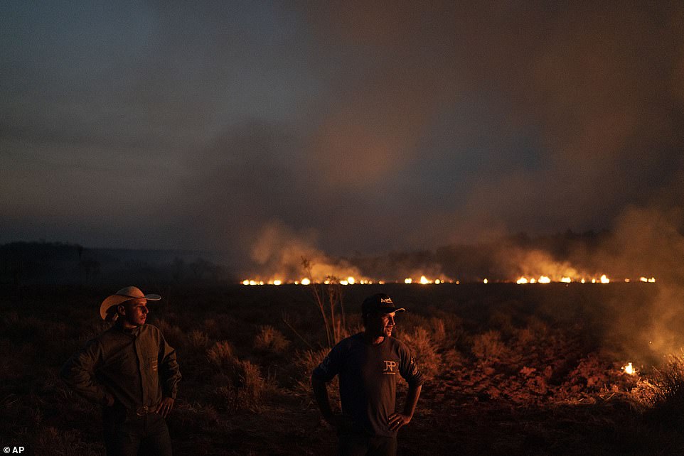 17642130-7390261-nerl_dos_santos_silva_centre_watches_an_encroaching_fire_threat_-a-95_1566647549744 Nerl Dos Santos Silva, centre, watches an encroaching fire threat after digging trenches to keep the flames from spreading to the farm he works on in Mato Grosso, Brazil, August 23