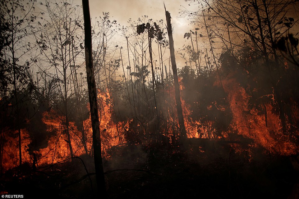 17650378-0-image-a-2_1566669370449 An Associated Press journalist flying over the Porto Velho region Saturday morning reported hazy conditions and low visibility. On Friday, the reporter saw many already deforested areas that were burned, apparently by people clearing farmland, as well as a large column of smoke billowing from one fire