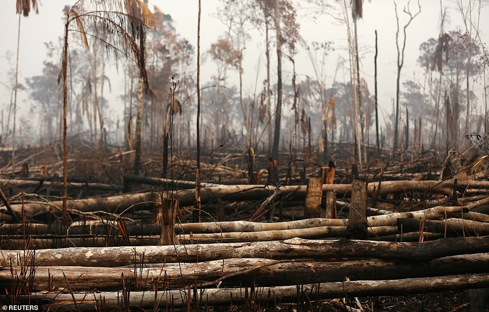 17650388-0-image-a-4_1566669524703 The extent of the scorched remains of huge swathes of the Amazon rainforest have been laid bare in shocking new images from Brazil, as international leaders pile pressure on the country's leader to take action