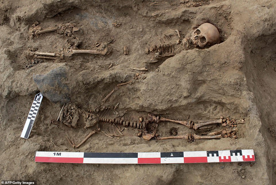 17776356-7401963-image-a-24_1566980164872 The 227 remains found were of children, two skeletons pictured, aged between four and 14 years old and archaeologists had been digging at the site since last year