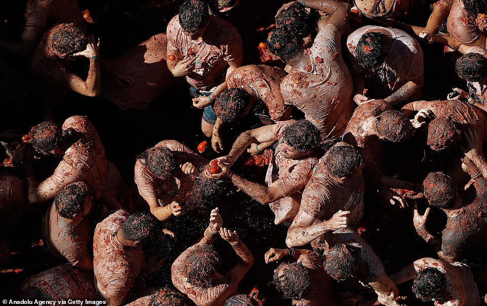 17792374-7403445-image-a-27_1567005336939 Revellers covered in tomato pulp lob tomatoes at each other as they take part in today's 74th annual "Tomatina" Festival in the eastern town of Bunol, Spain