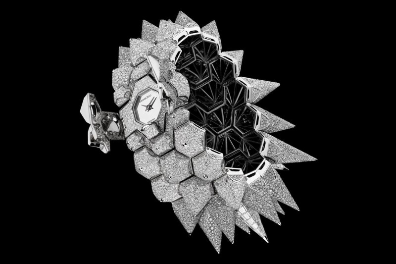 18-d8b3d8a7d8b9d8a7d8aa-d985d8b4d8a7d987d98ad8b1-d8a7d984d8b1d98ad8a7d8b6d8a9 ساعات مشاهير الرياضة