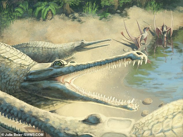 18388604-7455955-image-a-26_1568285150667 An artist's reconstruction of Mystriosaurus. The skull of the species is recognised as the extinct species, which lived in tropical waters during the Jurassic Period