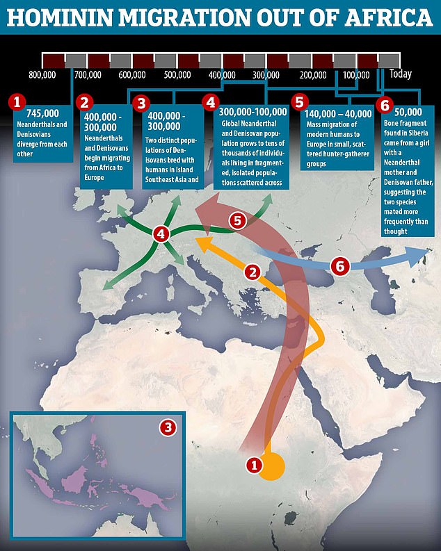 18583652-7473383-image-a-4_1568792328943 Between 300,000 and 100,000 years ago tens of thousands of Neanderthals and Denisovans lived in fragmented populations scattered around Europe and Asia