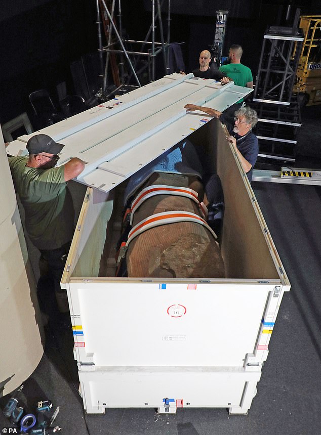 19190562-7527979-image-a-10_1570002913208 Technicians pack the Colossal, which is among the 160-piece treasure collection that attracted over 1.4million visitors in Paris