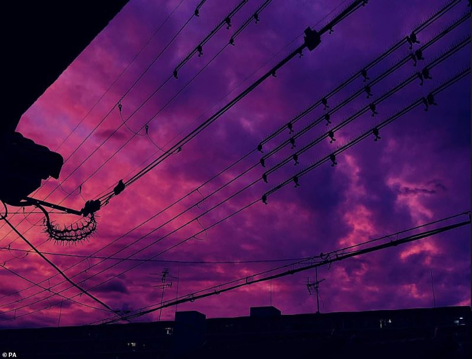 19631682-7565683-image-a-1_1570901509108 The skies above Japan turned pink and purple before typhoon Hagibi hit the country, causing mass devastation