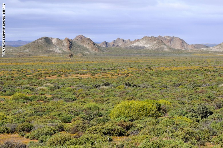 صحراء كارو في جنوب إفريقيا صحراء كارو في جنوب إفريقيا