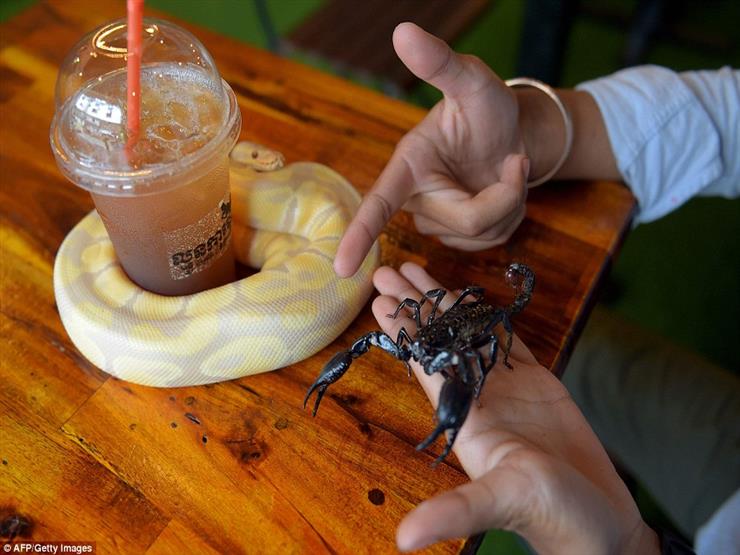 2018_9_8_15_10_39_576 https://mrahba.com/wp-content/uploads/2020/10/2018_9_8_15_10_39_576.jpg