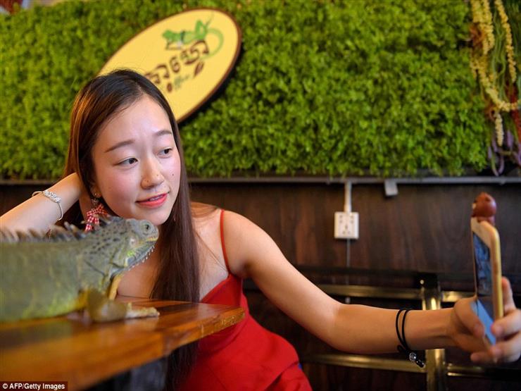 2018_9_8_15_10_42_217 https://mrahba.com/wp-content/uploads/2020/10/2018_9_8_15_10_42_217.jpg