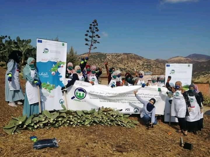 21-1500x9999-c-2 الشلف.. إختتام فعاليات تكوين 16 إمرأة ريفية حول إستغلال التين الشوكي