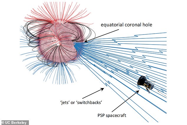 21814224-0-image-a-47_1575473726791 This graphic shows the encounter the Parker Space Probe had when examining a small coronal hole along the Sun's equator. The solar surface is coloured to show extreme ultraviolet emission and coronal holes appear as a lighter shade