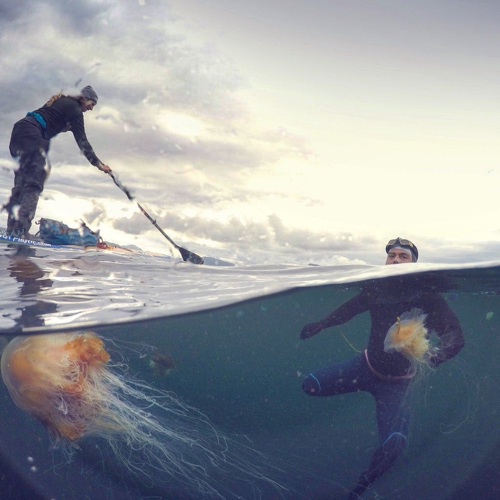 3874e77d-0087-4c29-9acc-7aeb085e8d1d