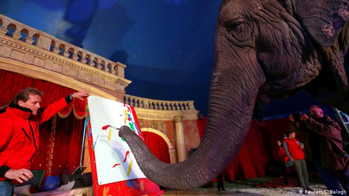 Ungarn malender Zirkus-Elefant Sandra in Budapest (Reuters/L. Balogh)