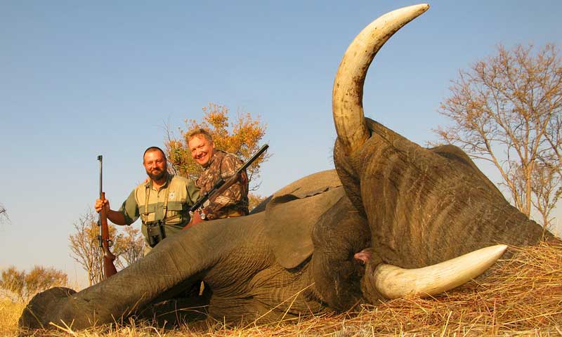 43870ff6-7799-43cd-8067-b15cfa924019