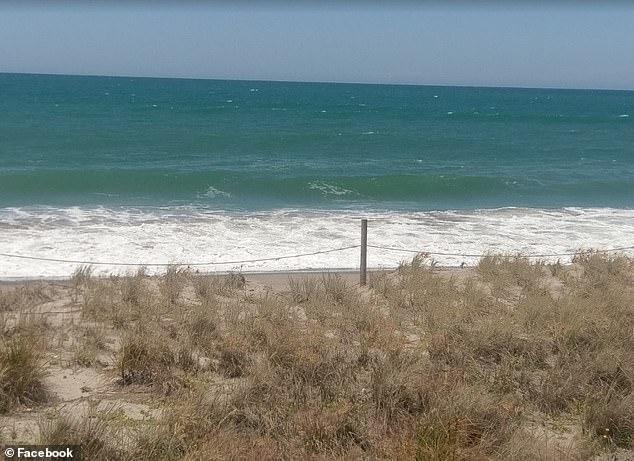 4440811-717760592 ÙØªÙجة Ø¨ØØ« Ø§ÙØµÙر ع٠âªseaâ¬â