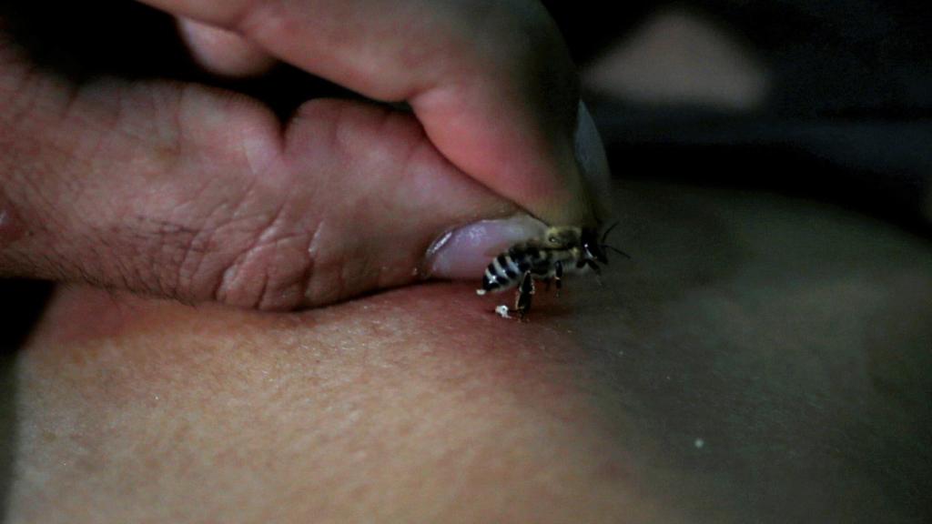 4522681-164875353 ÙØªÙجة Ø¨ØØ« Ø§ÙØµÙر Ø¹Ù ØµÙØ±Ø© ÙÙØªÙغراÙÙØ©