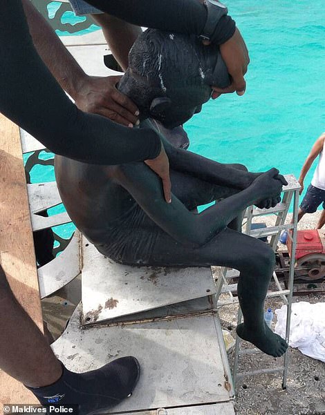 4531386-6205159-image-m-14_1537870219352 Two men forcibly removing the figure