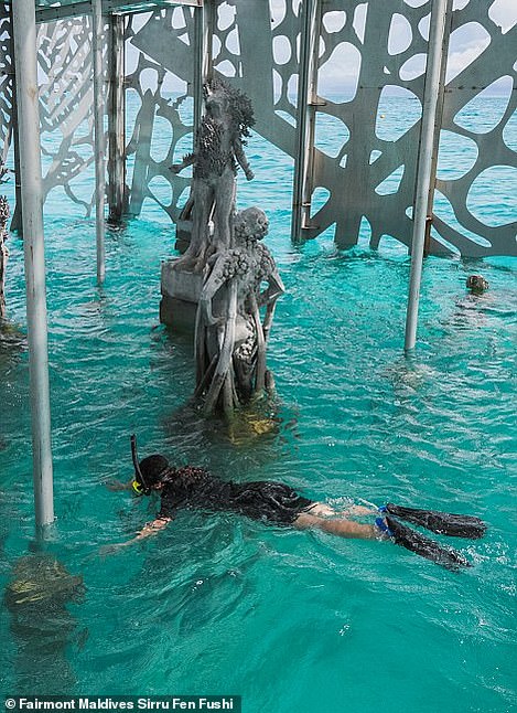 4531990-6205159-a_snorkeller_explores_the_tidal_gallery-a-16_1537885397874 A snorkeller explores the tidal gallery