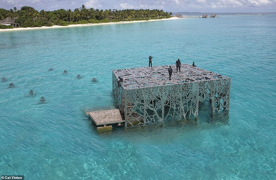 4537342-6205159-image-a-9_1537885239514 It was claimed the gallery structure would act as a sheltered space that offers a permanent sanctuary for ocean life such as fish, crustaceans, octopuses and marine invertebrates