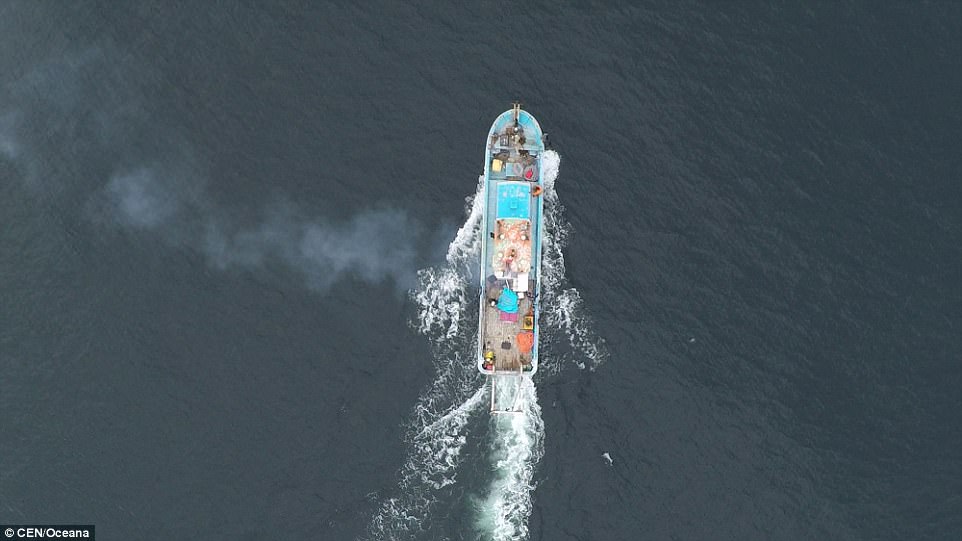 Mr Carlos Cortes, one of the researchers working on the project, said: 'We can assure that for Chile, the discovery of Itata is the most important in terms of underwater heritage.' Pictured is the boat used by the researchers to find the remains 