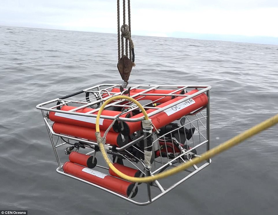 Mr Javier Sellanes, who worked on the study, says that in the coming months the team will receive an ROV that will allow them to continue investigating the shipwreck