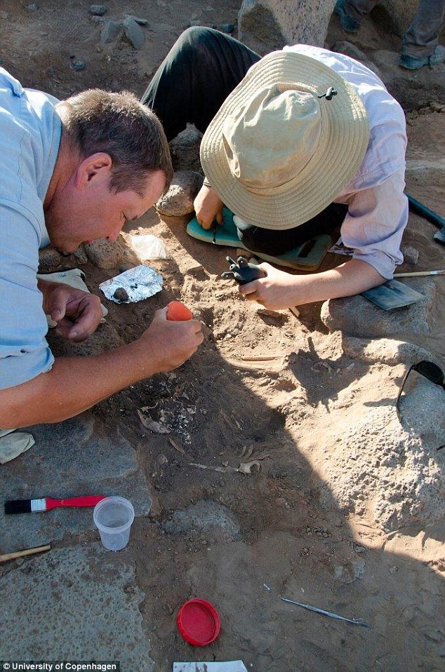 These innovations were probably crucial for the subsequent emergence of agriculture during the Neolithic era. This image shows University of Copenhagen archaeologists carefully excavating a human burial at Shubayqa 1