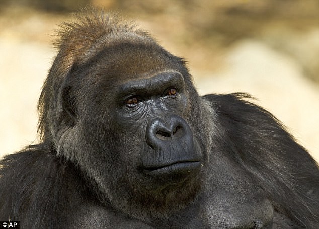 Last year, Vila (pictured, in an undated photo) had undergone a medical treatment for fluid retention in her face and limbs but eventually recovered