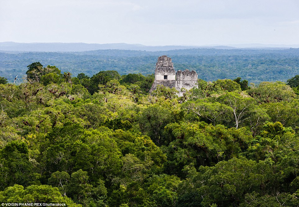 The earliest Maya settlements were constructed around 1,000 B.C., and most major Maya cities collapsed by 900 A.D. They found some 60,000 structures were found over the past two years