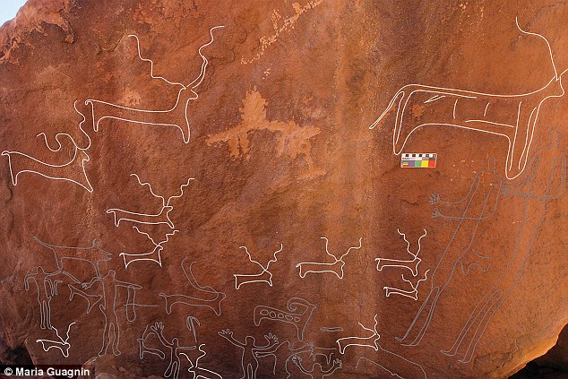 The engravings (pictured), some of which date back to 8000BC, include images of rare antelope, aurochs, wild camels and African asses, previously not known to live in this area