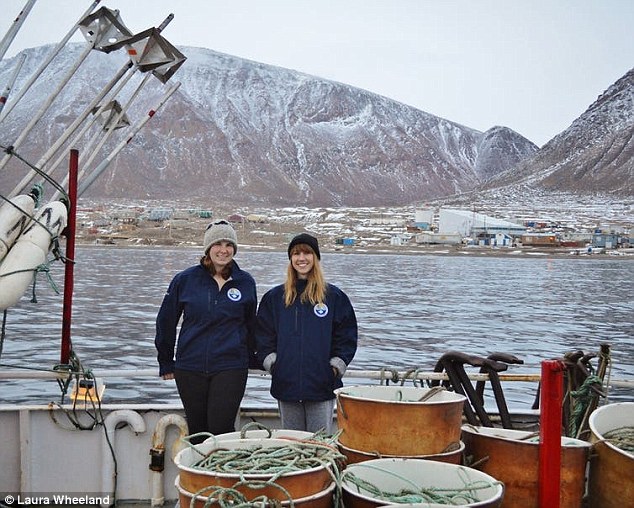 Researchers from Memorial University of Newfoundland can shed new light on the animals and their widely unknown behavioural habits. The sharks are known to live for more than 300 years