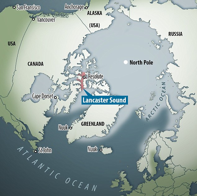 The research was conduction within the region of Tallurutiup Imanga (Lancaster Sound), which could become Canada's largest marine protected areas