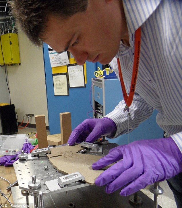 Study lead researcher Dr Fabian Knoll (pictured with the fossil) told MailOnline although the team does not know how the bird died, it must have happened 'very soon after hatching'