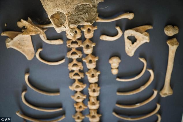 Measurements of the skeleton can be used to detect traces of any physical activity, including lifting heavy weights as well as the time the child spent walking