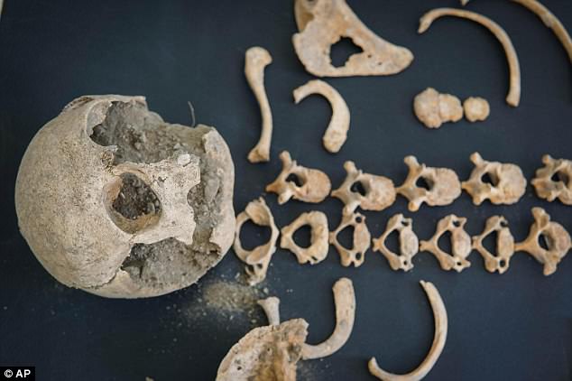Establishing the sex of the individual will not be possible at this stage, as typical male and female characteristics are not visible from the bones during childhood