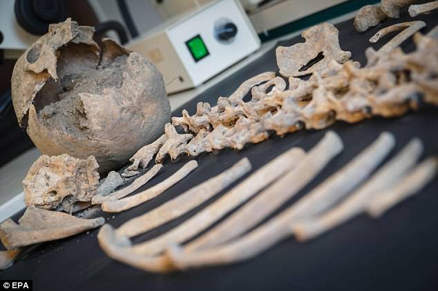 Experts at the Applied Research Laboratory of the Archaeological Park of Pompeii will now search the body for clues about it