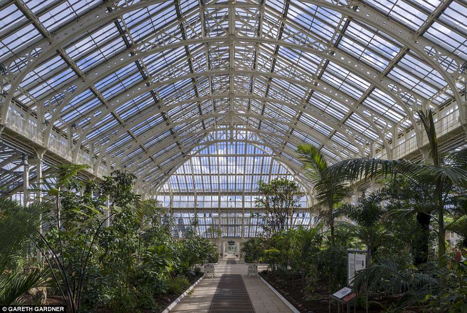 4bcdd09d00000578-5686615-image-a-50_1525346999147 The restoration project of the world's largest glass house cost £41million and is the largest upgrade ever at the west London attraction